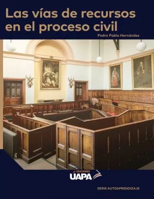 Carátula de Las vías de recursos en el proceso civil