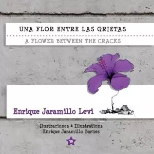Carátula de Una flor entre las grietas * A Flower Between the Cracks