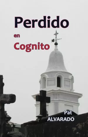Carátula de Perdido en Cognito