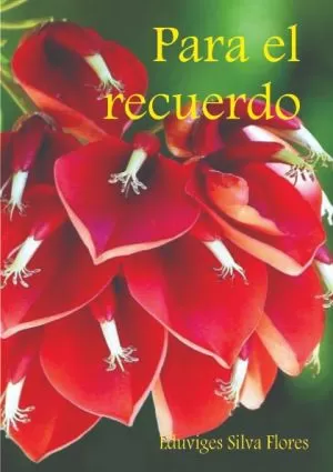 Carátula de Para el recuerdo