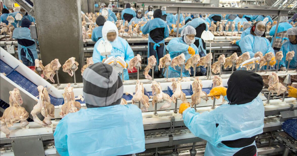 From Amputations to Respiratory Illnesses, New Report Exposes Hazards