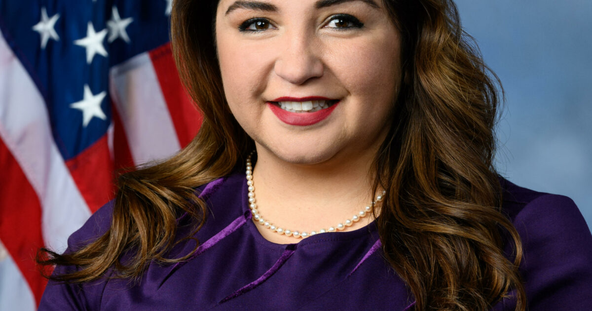 Delia Ramirez - In These Times