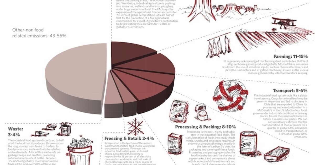 Deforestation, Agriculture, and Diet Are Fuelling the Climate Crisis