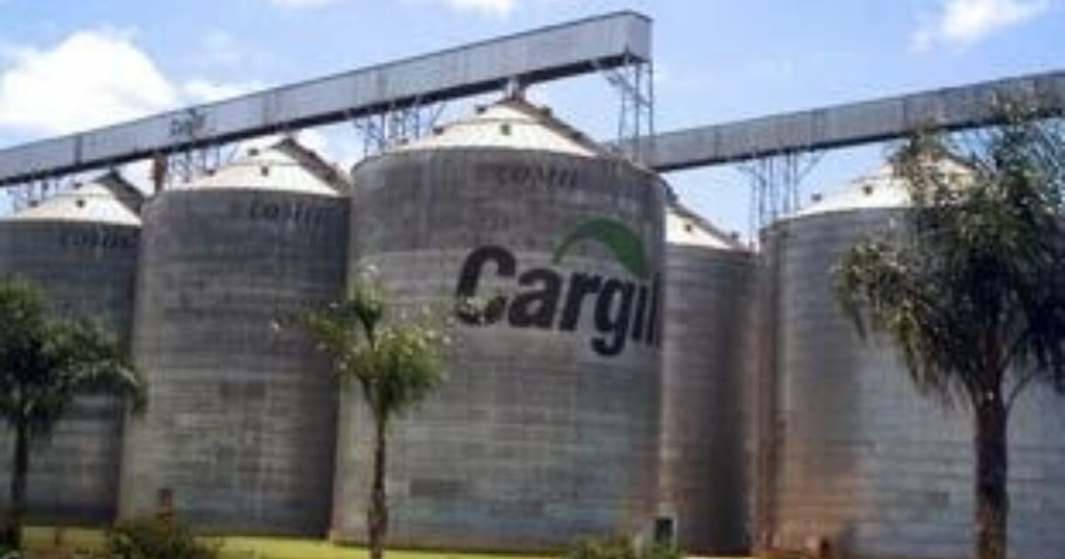 The Multinational Beanfield War In These Times