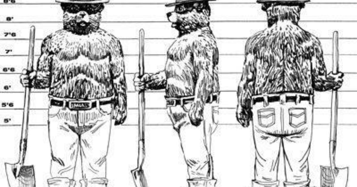 Smokey the Bear, Anti-Fracking Insurgent - In These Times
