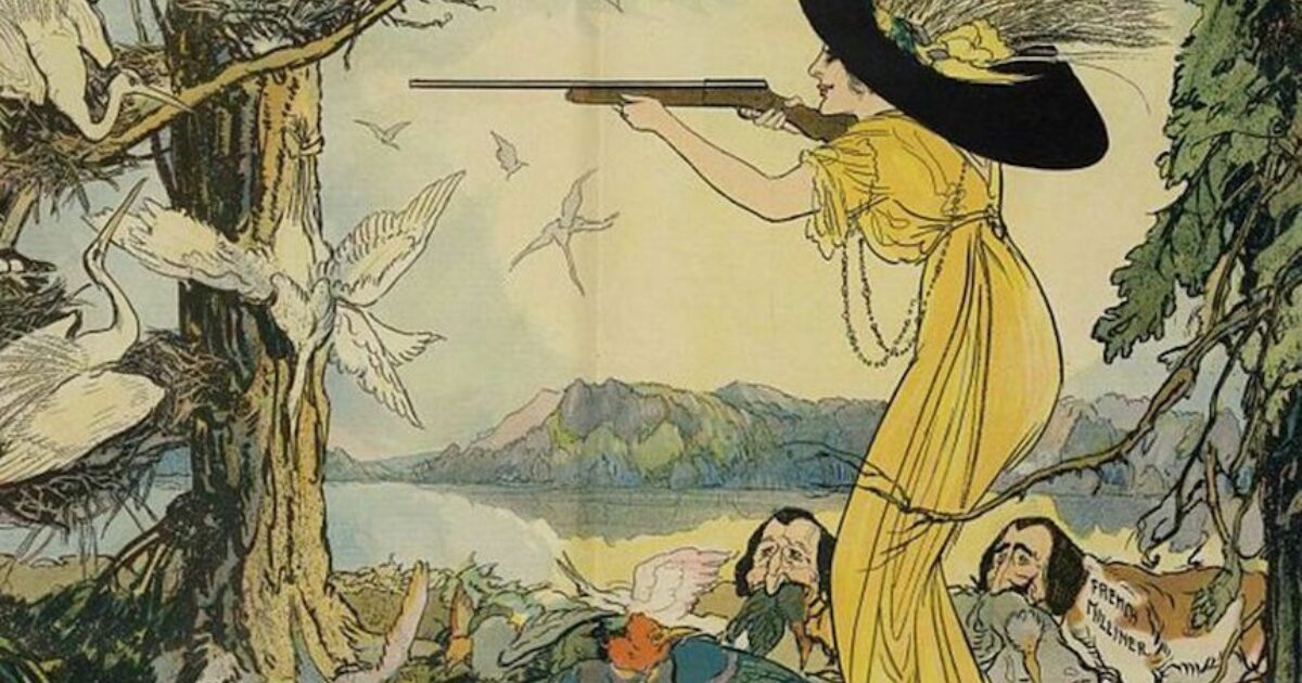 The Perils of High Fashion and the 1918 Migratory Bird Act Treaty In These Times