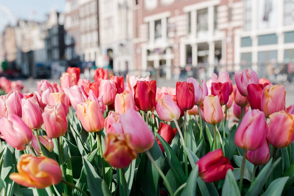 amsterdam family trip