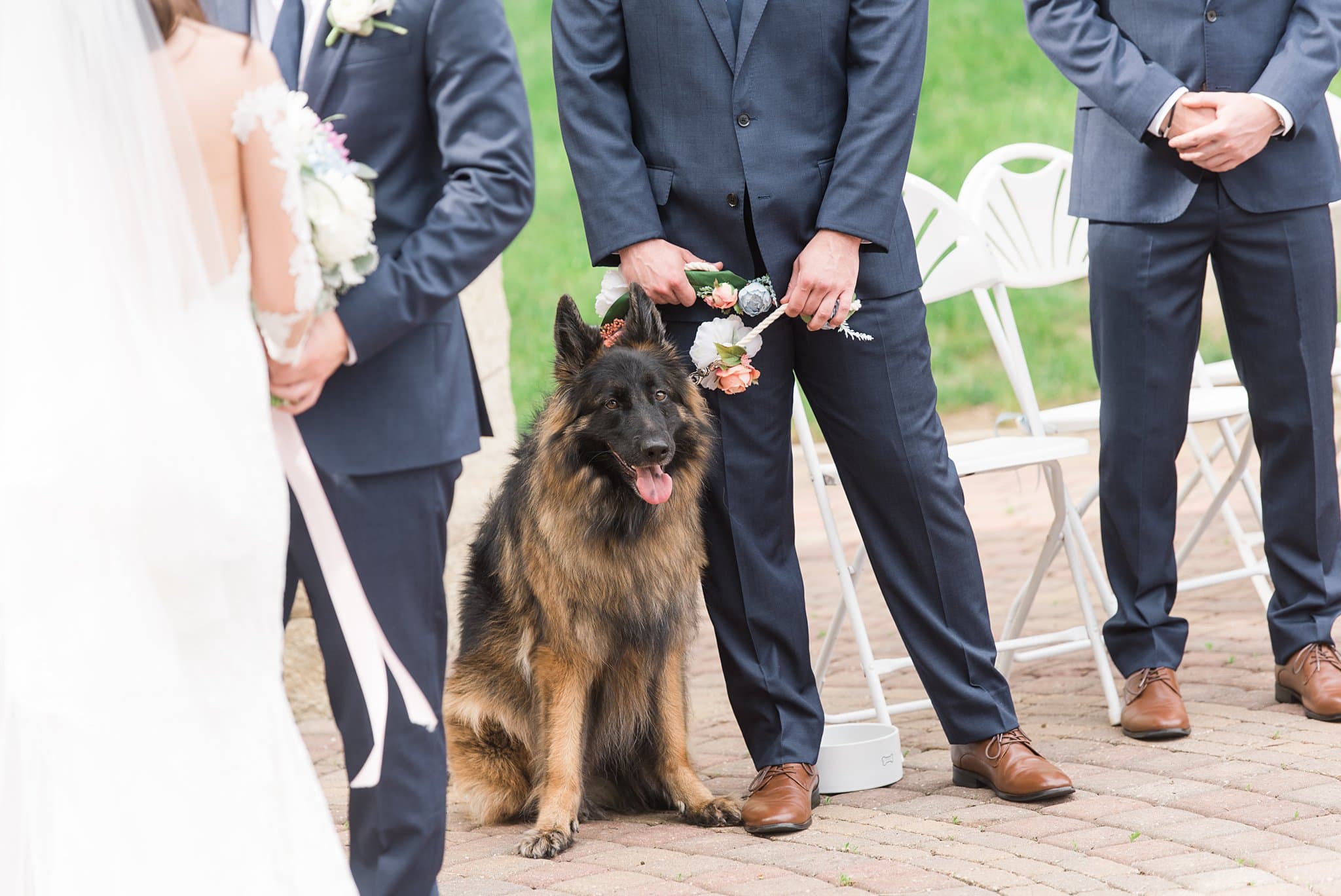 dog as a groomsmen