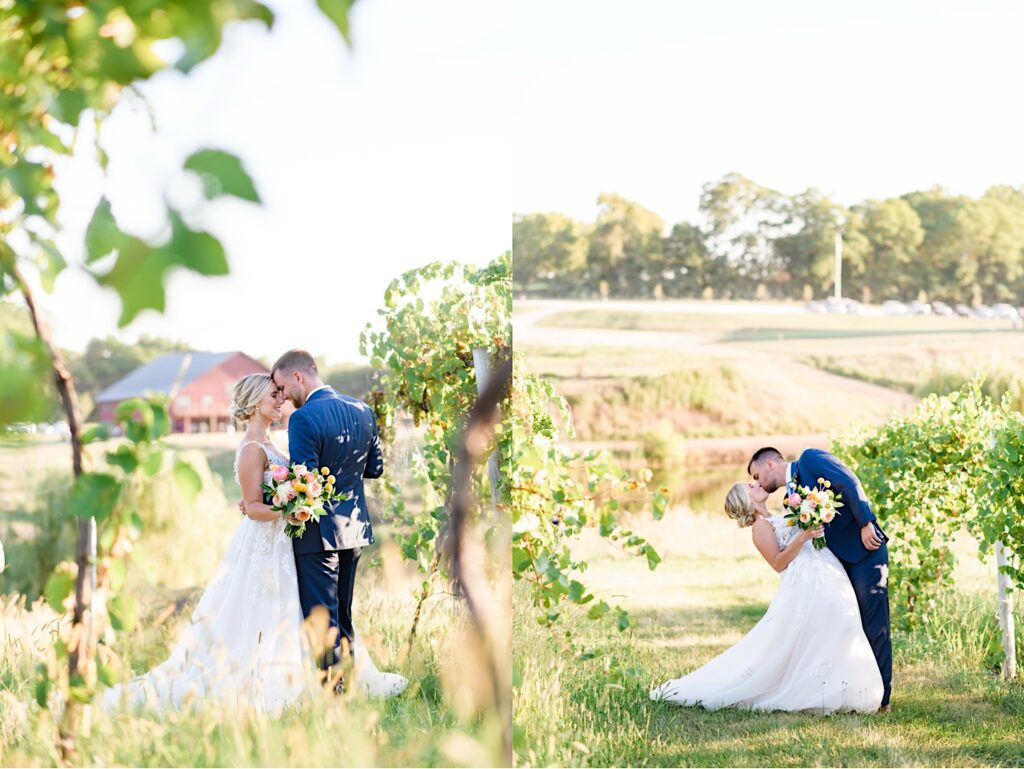 Sunset photos of bride and groom at Carper Winery & Vineyard in Iowa
