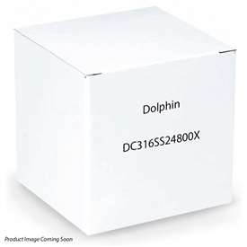 Dolphin