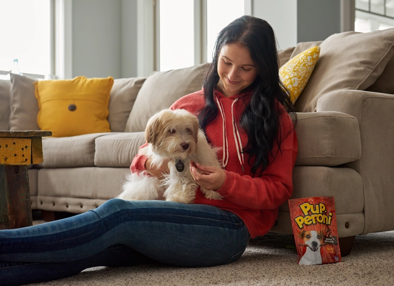 woman feed dog treat to white dog