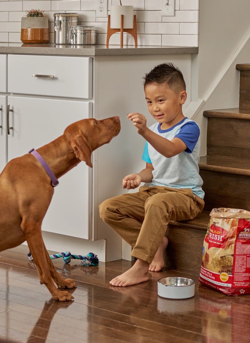 child feeding dog food to dog by hand