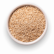 Quinoa