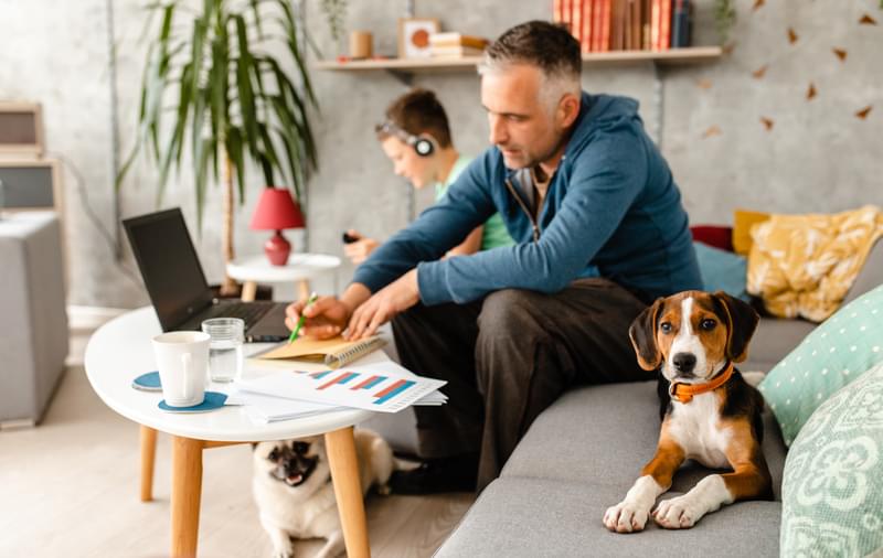 man working from home on couch with son and pets