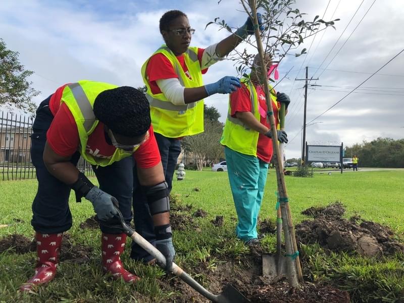 people planting trees