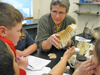 Scientist Kate Wynne helps students study what whales eat.