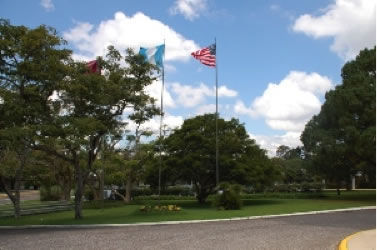 Our school