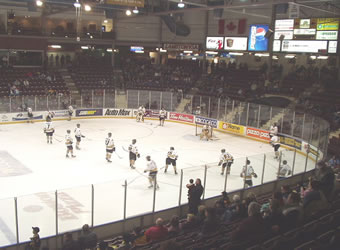 Hockey players