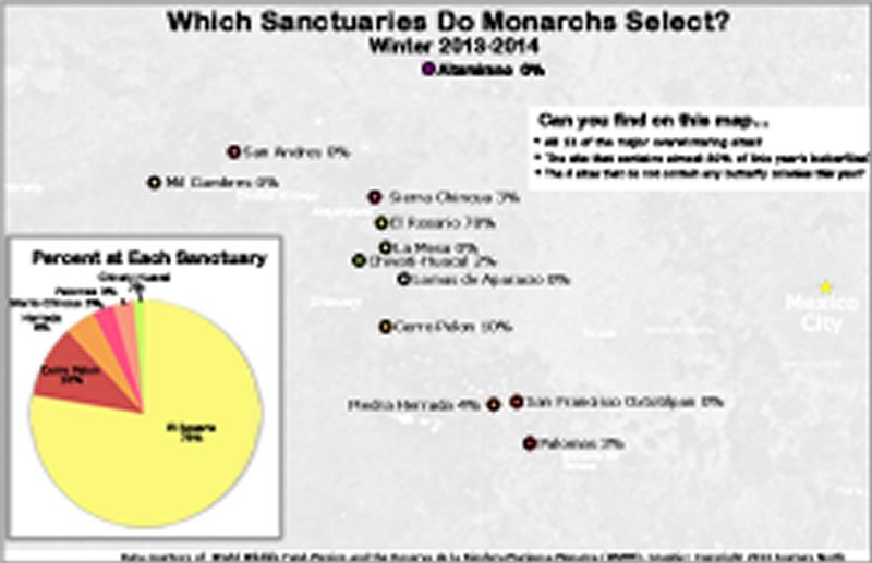 Pie Graph: Monarch Butterfly Colony Selection