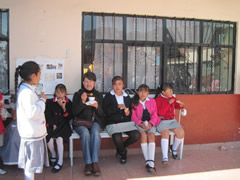Students near Monarch butterfly sanctuaries in Mexico