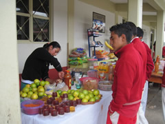 Symbolic Monarchs at Schools in Mexico