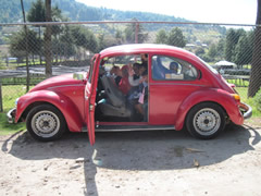 Symbolic Monarchs at Schools in Mexico