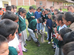 Symbolic Monarchs at Schools in Mexico
