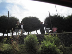 Children in Mexico receiving Symbolic Monarch Butterflies