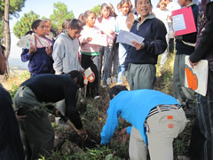 Children receiving symbolic monarch butterflifes in Mexico.