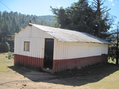 Children receiving symbolic monarch butterflies in Mexico.