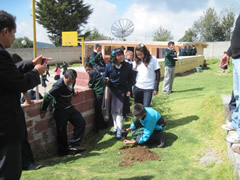 Symbolic Monarchs at Schools in Mexico