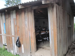 Symbolic Monarchs at Schools in Mexico