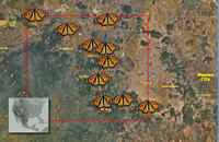 Map showing location of monarch butterfly overwintering sites in Mexico