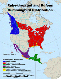 Ruby-throated hummingbird migration map with sample distances traveled.