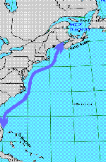 Right Whale Migration