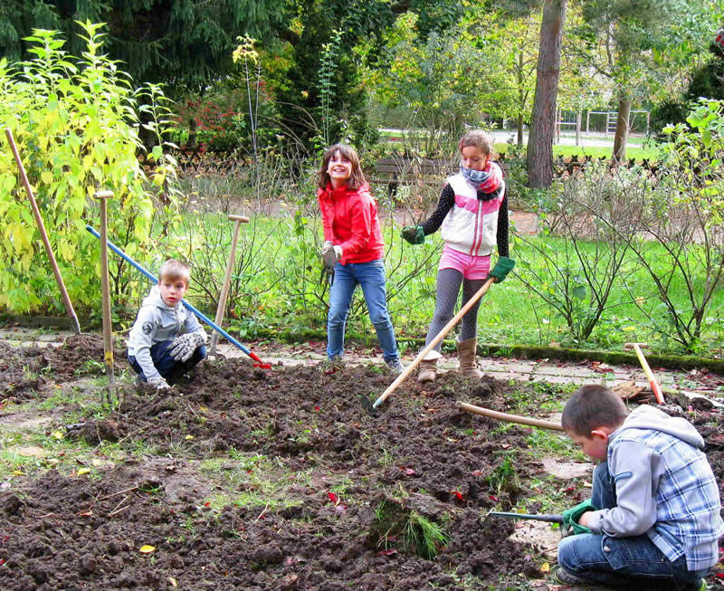 planting in Chimnitz, Germany