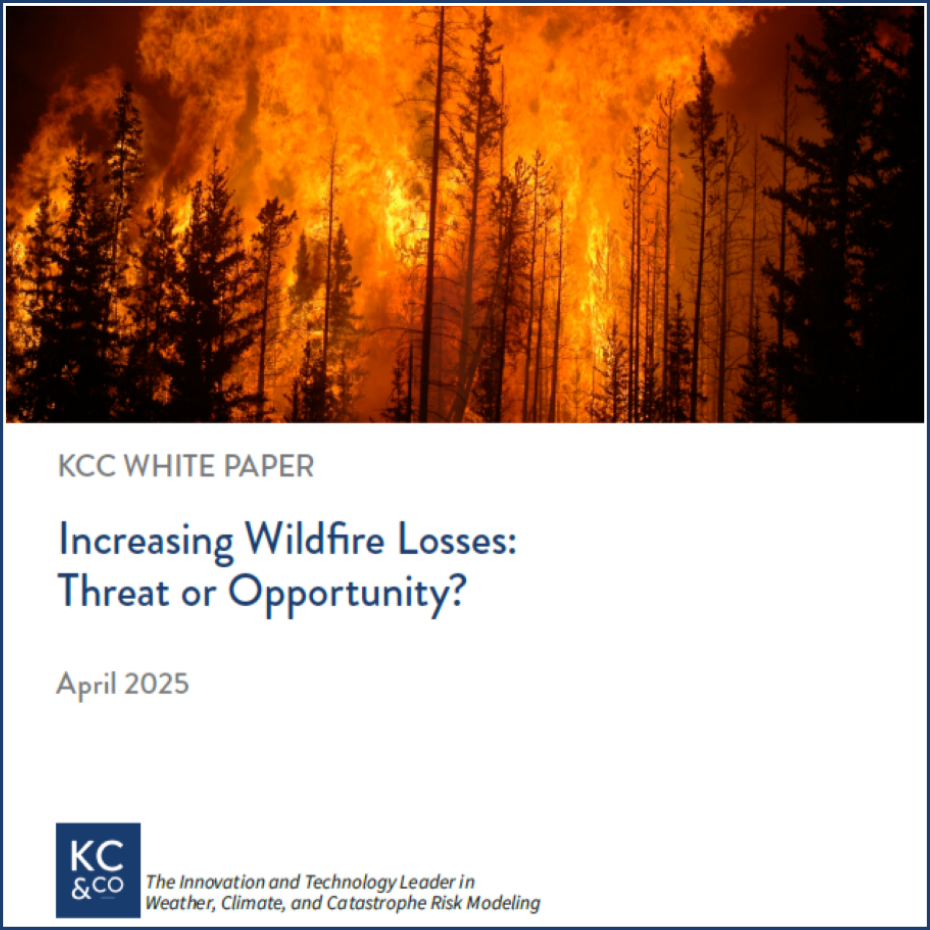 2025 Wildfire Losses WP