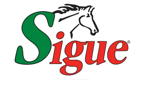 Pago de servicios Sigue