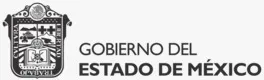 Pago de impuestos Estado de México