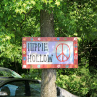 The place to be at the 2018 Lil John's Mountain Music Festival - photo by Laura Tate Photography The place to be at the 2018 Lil John's Mountain Music Festival - photo by Laura Tate Photography