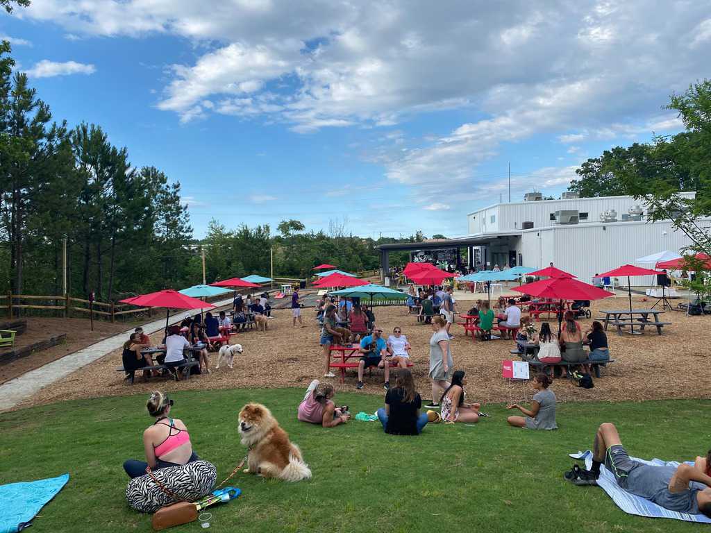 Plant a Park Fest wraps up summer of fundraising for Scott's Addition's first public park