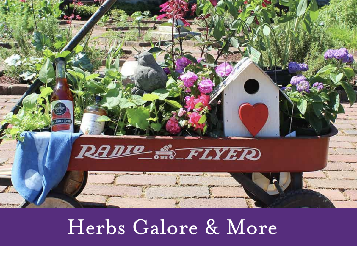Herbs Galore & More returns to Maymont with over 60 vendors Saturday