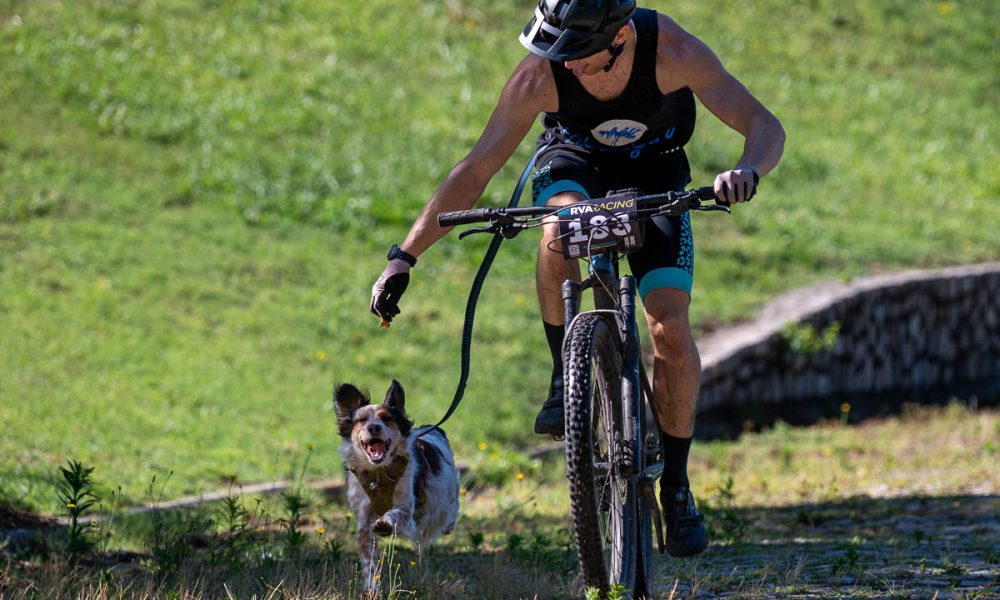 Photo of the Day: Treats