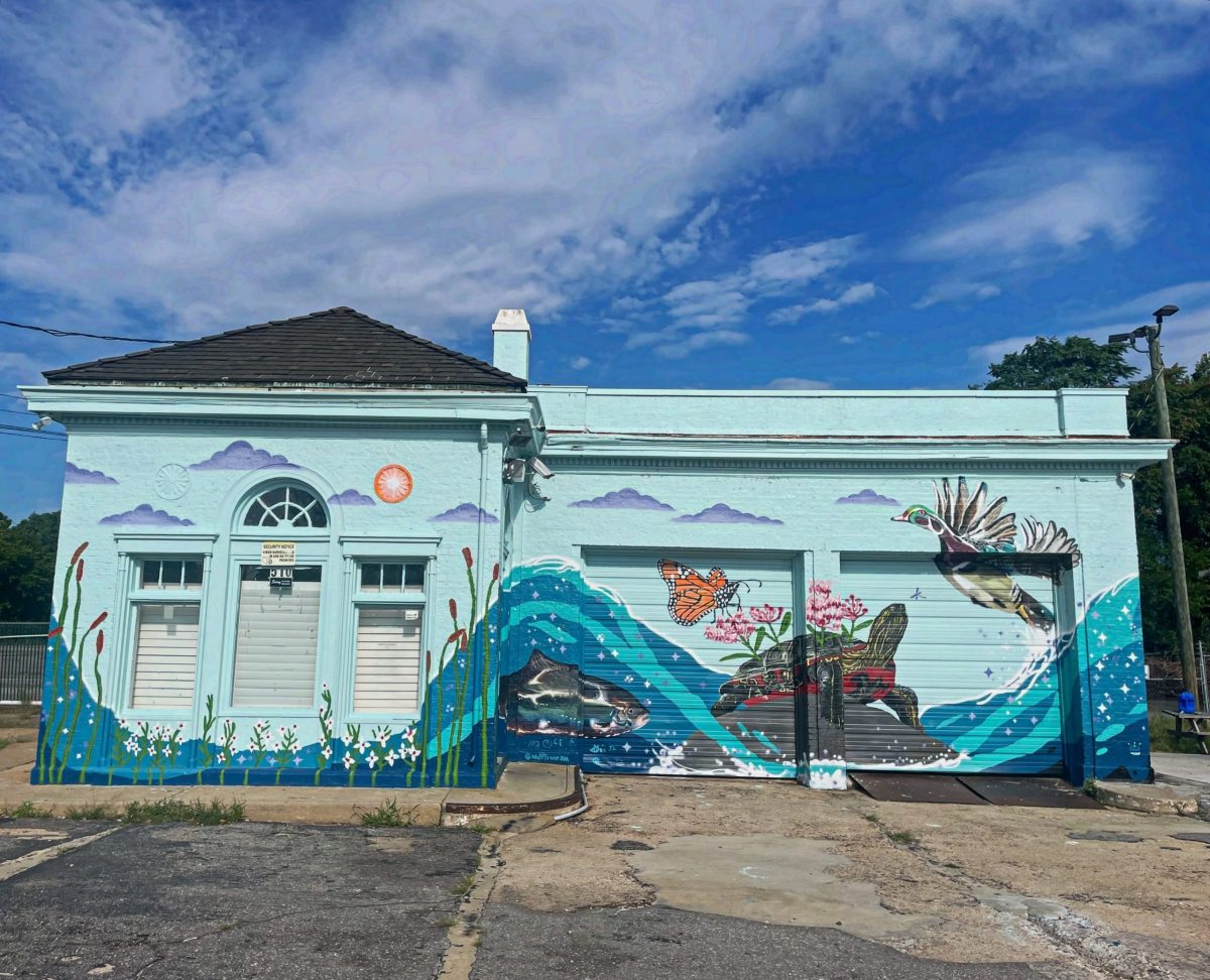 Wallflower Takes First Step to Turning Mayo Island into a Park