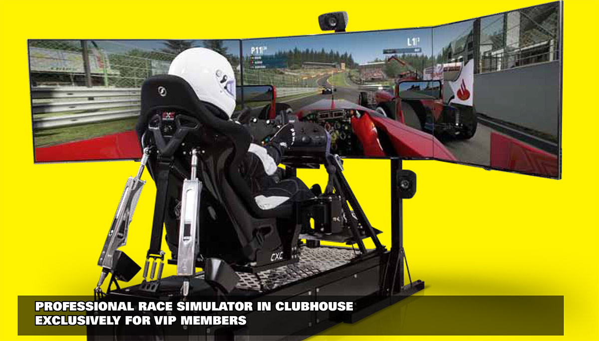 Professional Race Simulator Professional Race Simulator