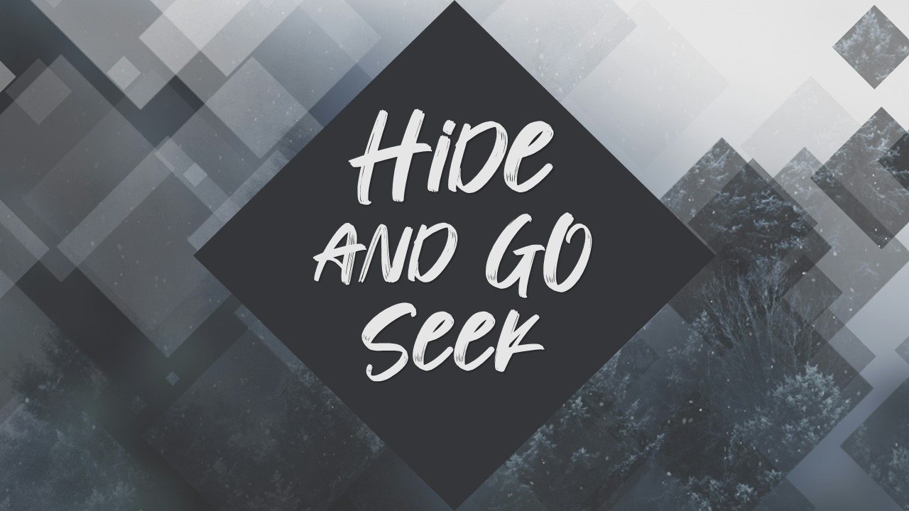 Hide and Go Seek