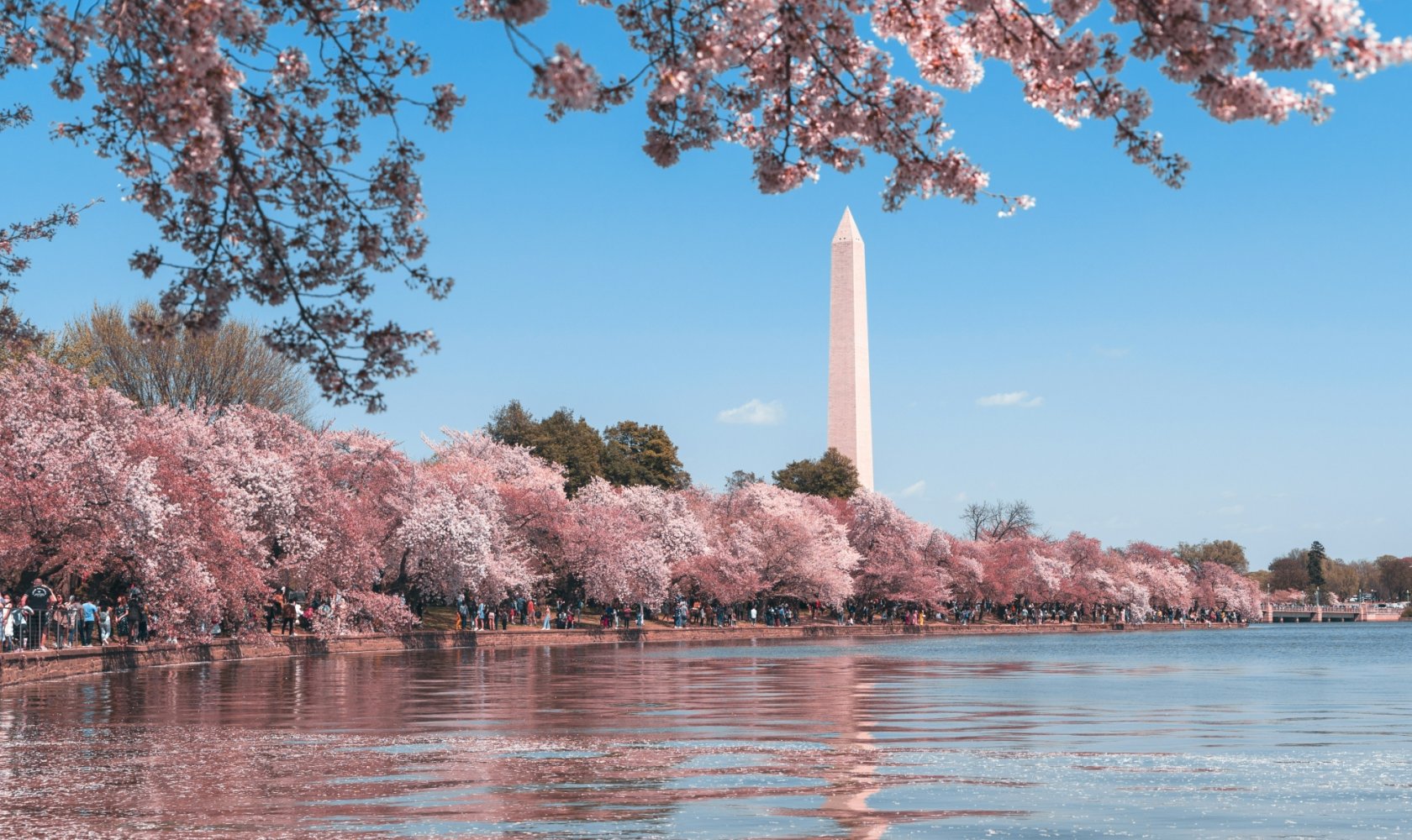 Washington dc andy he Pu Jc2 Sodi94 unsplash