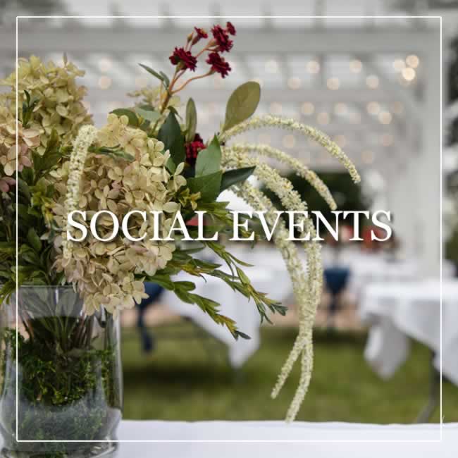 Social Events Social Events