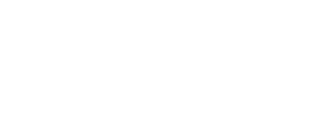 LuminX