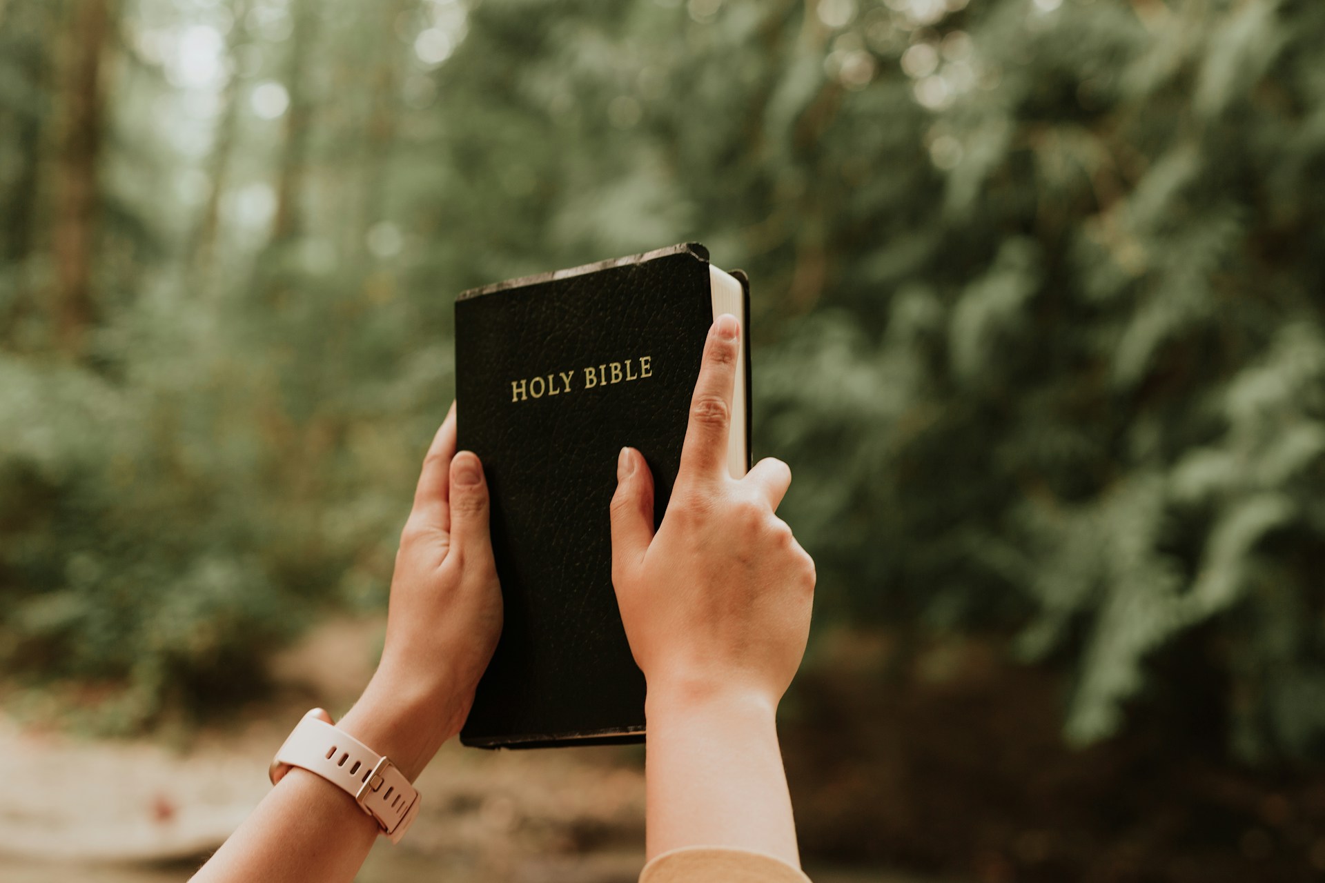 Wholly Sanctified: The Power of God's Word bible